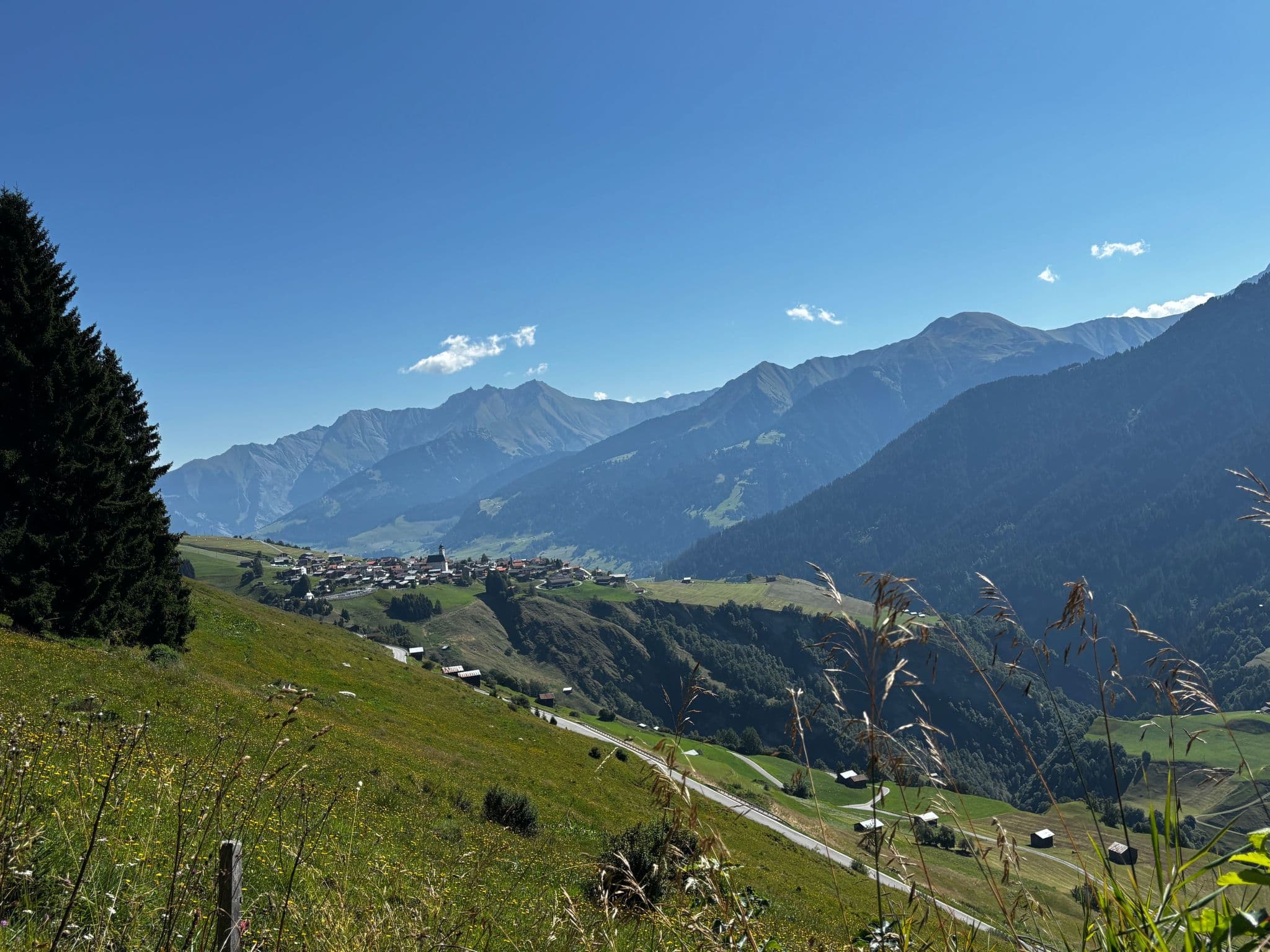 View