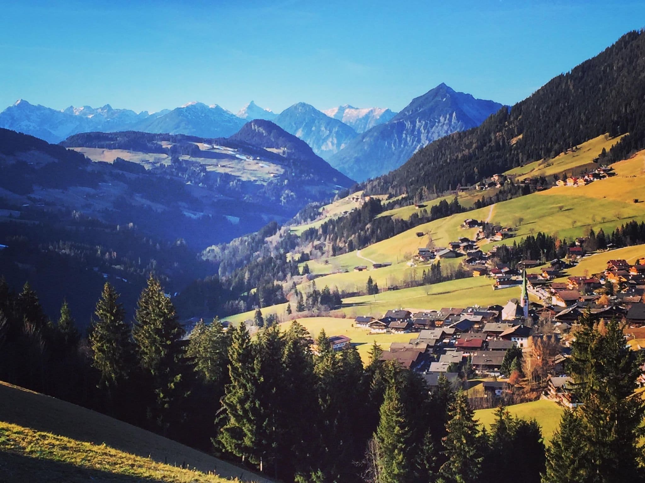 View