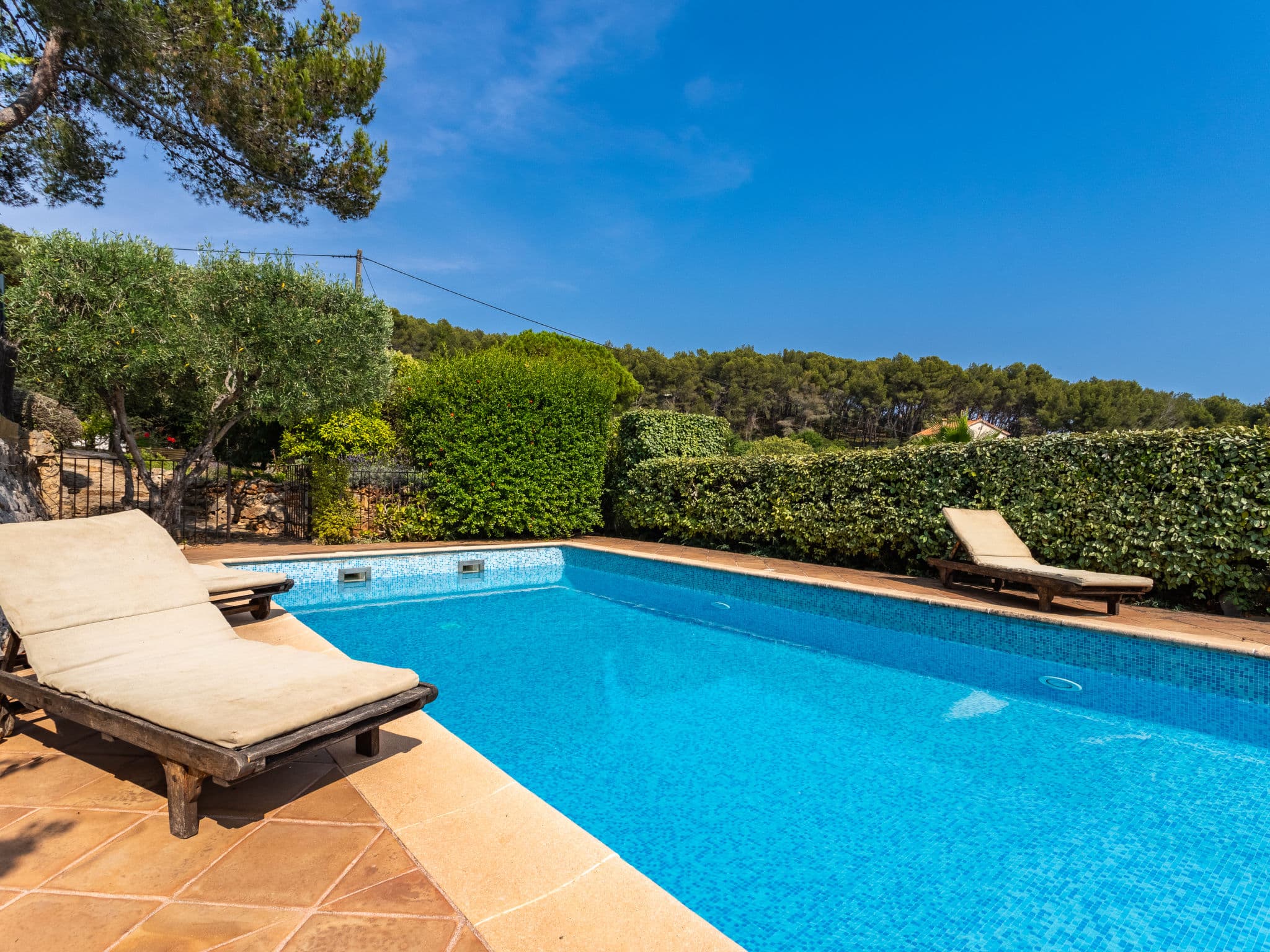 Pool Outdoor