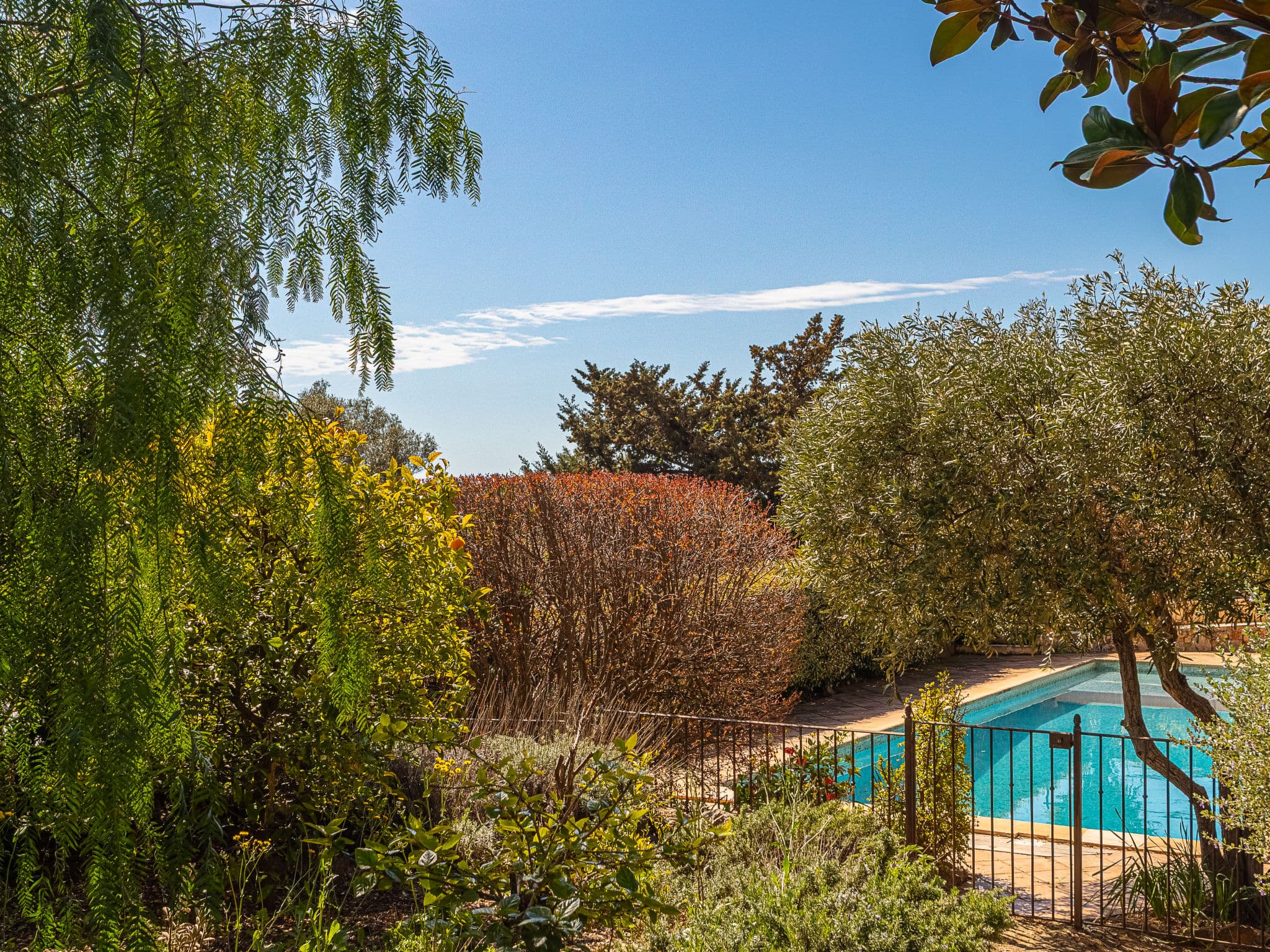 Pool Outdoor