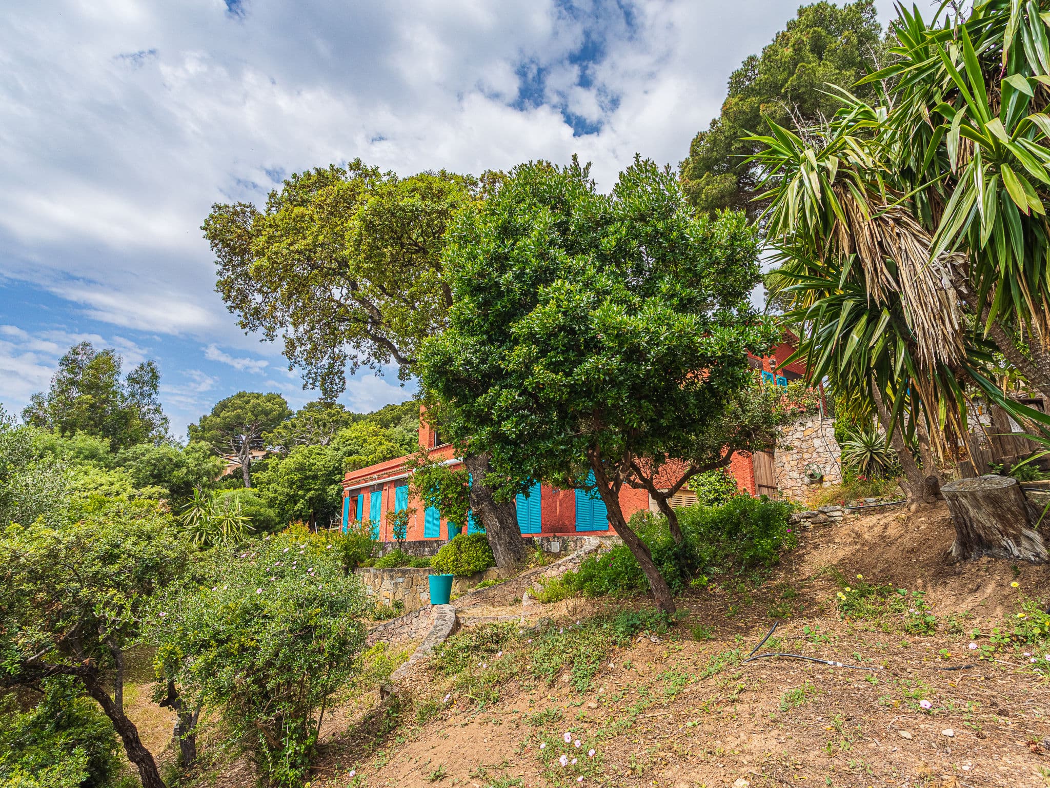 House