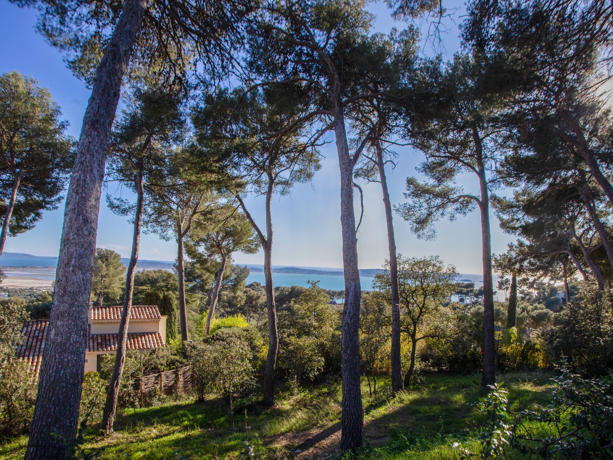 View