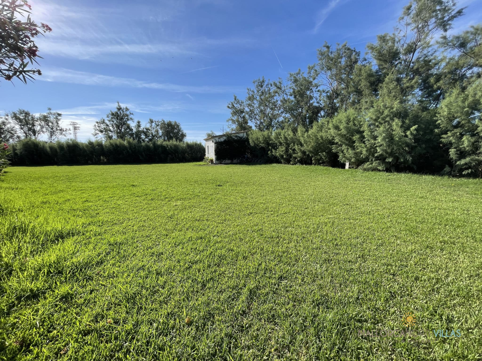 Outdoor