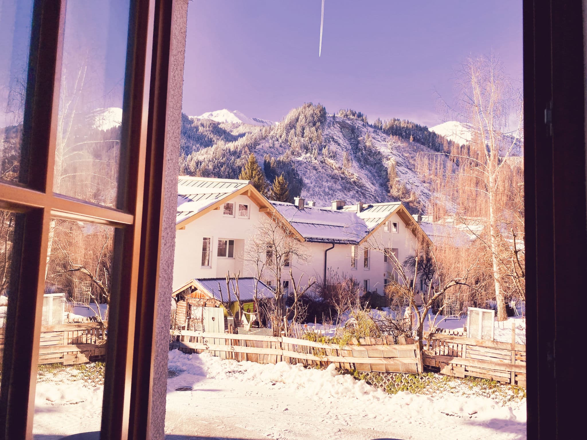 View