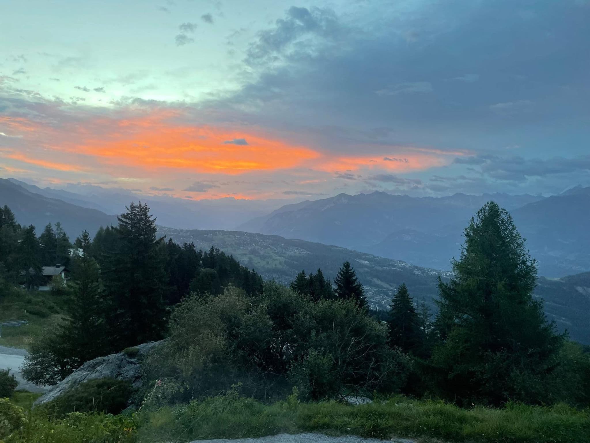 View