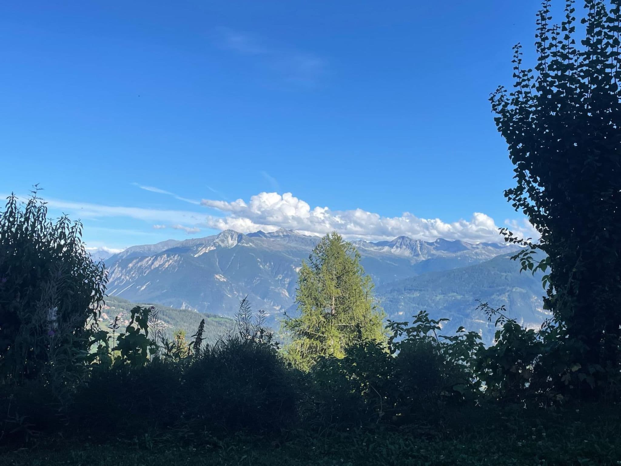 View