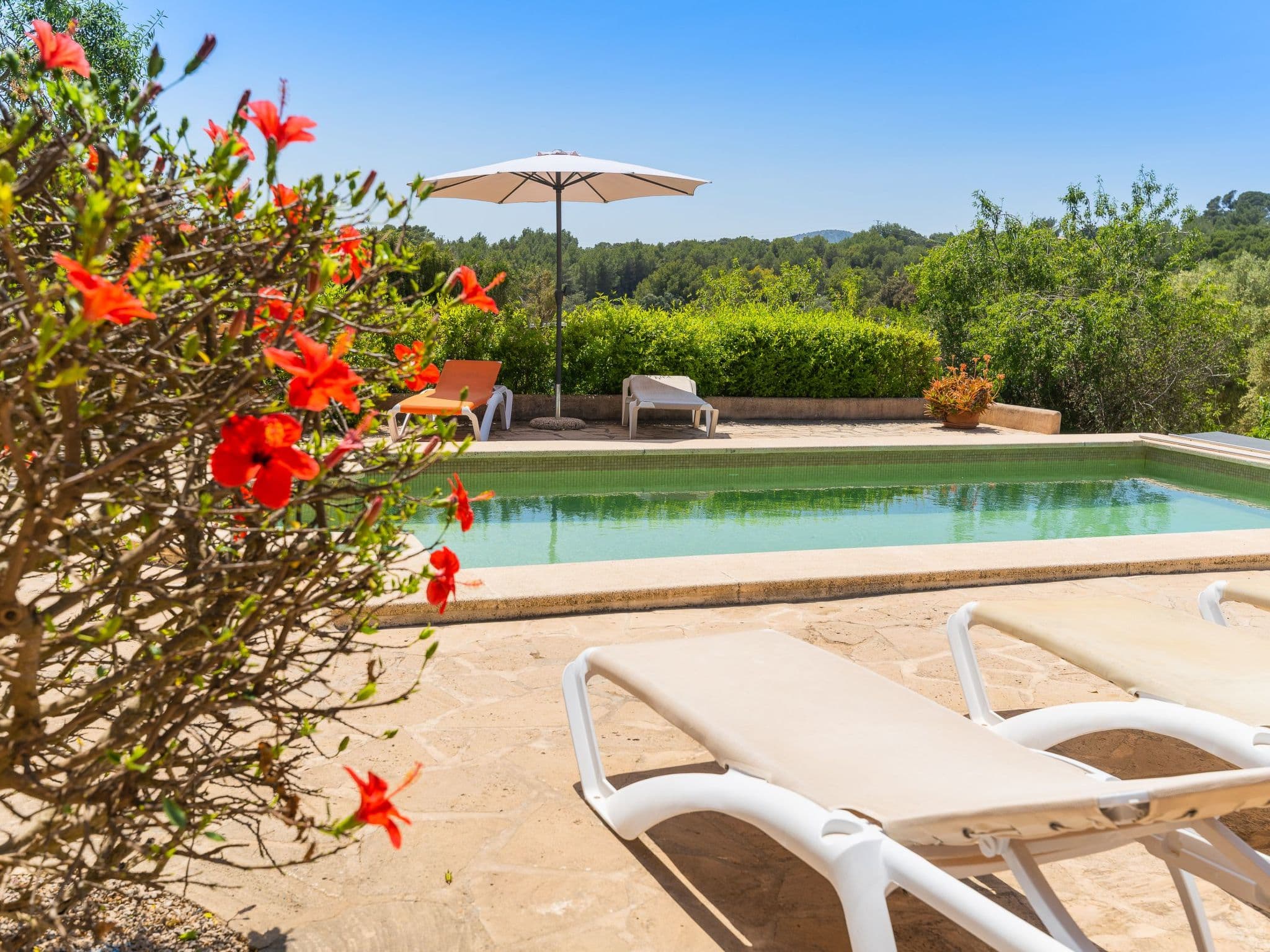 Pool Outdoor