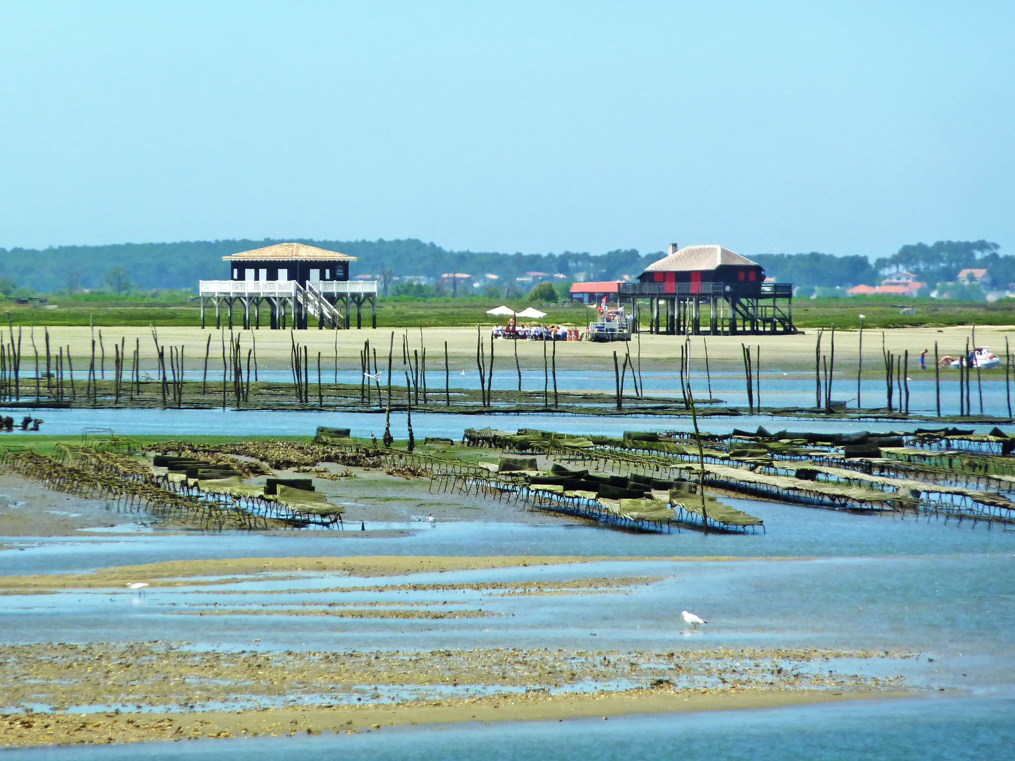 Place