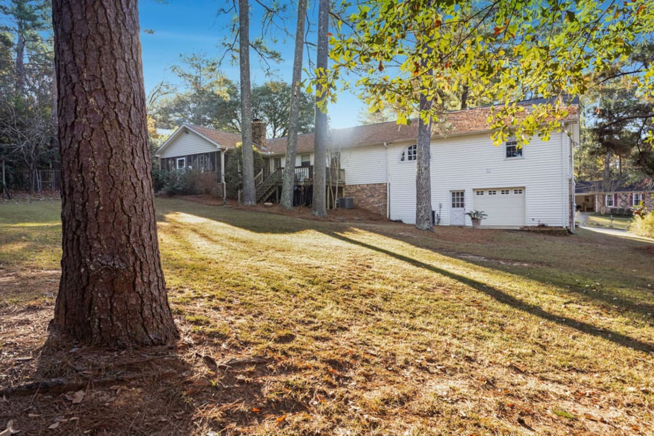 A large backyard with plenty of open space.