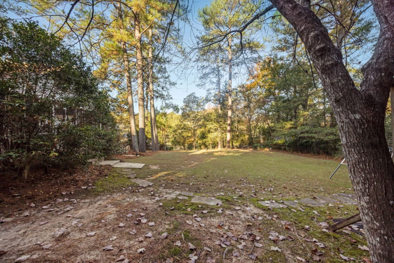 A peaceful outdoor area surrounded by tall trees and open space.