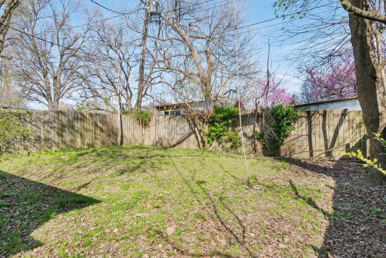Spacious Back Yard