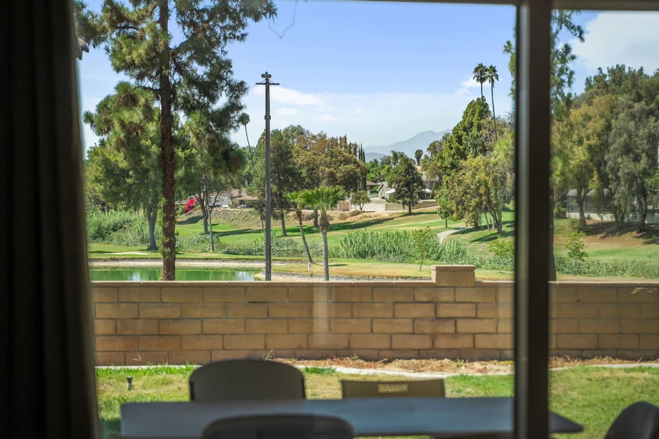 Backyard.