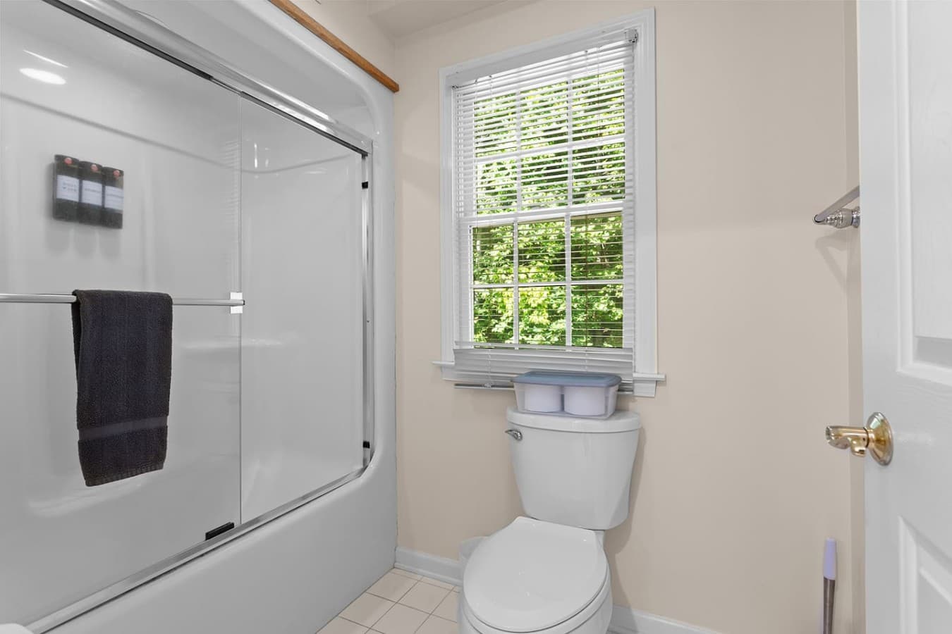 Full bathroom with a shower and bright natural light from oversized windows.