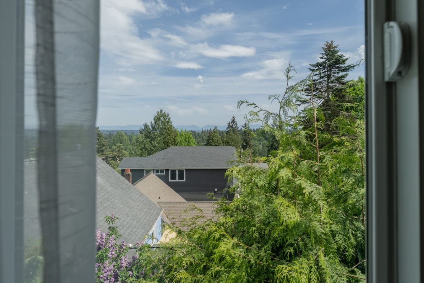 Peaceful neighborhood views surrounded by greenery and elevated scenery.