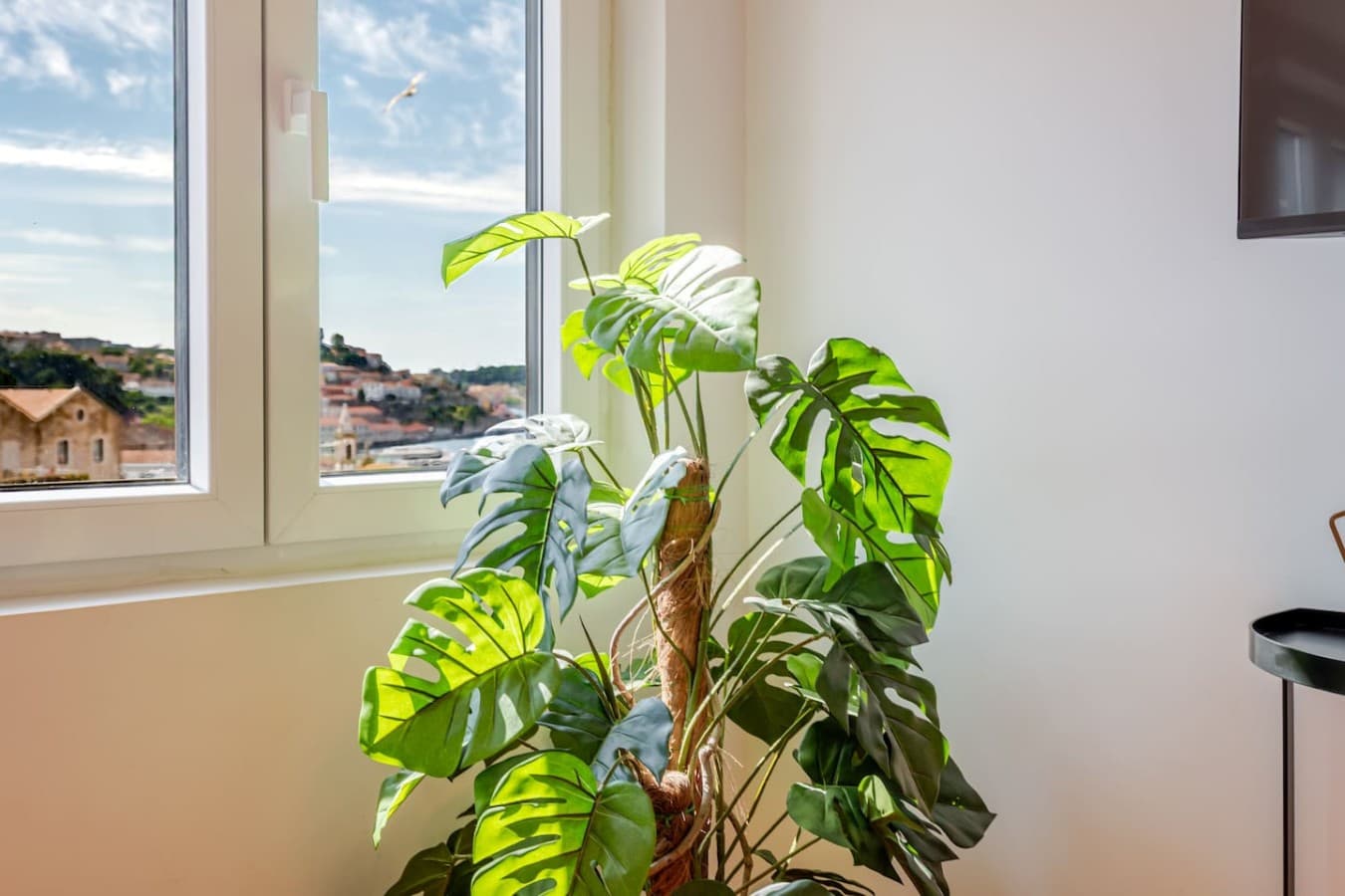 Large living room window fills the space with natural light while framing beautiful views of the Douro River and surrounding cityscape.