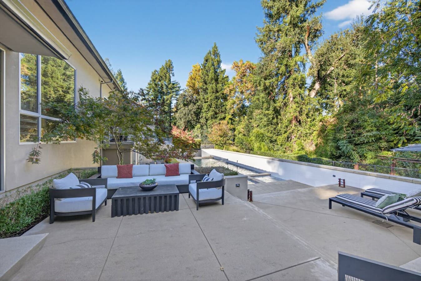Private lounge terrace surrounded by mature trees, offering a peaceful setting for relaxing in the fresh air.