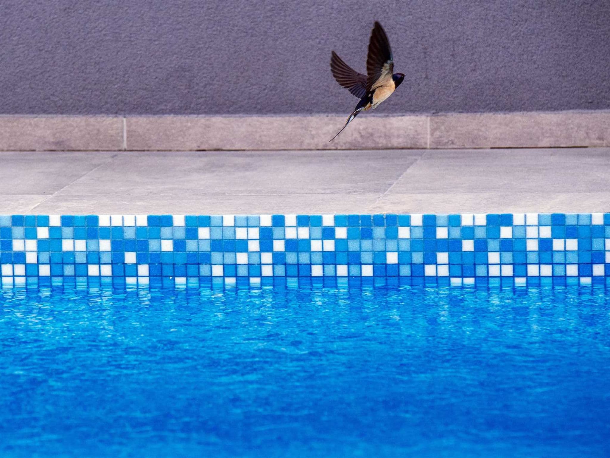 Pool Indoor