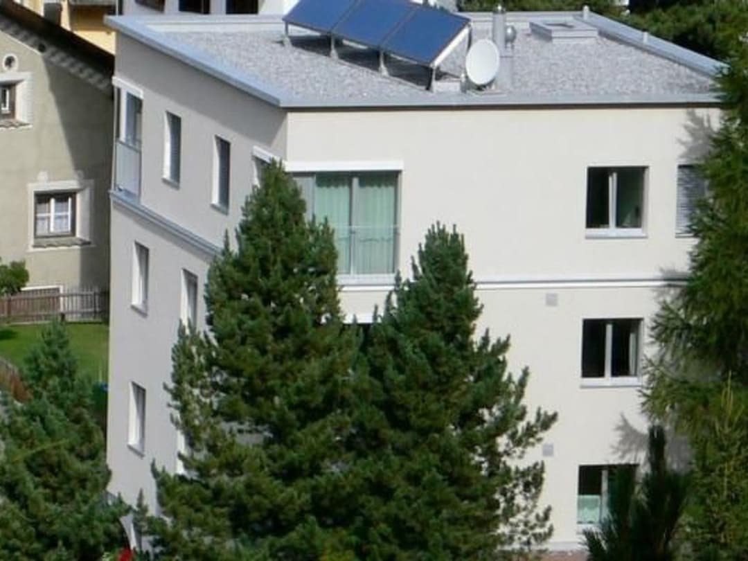 Large Image