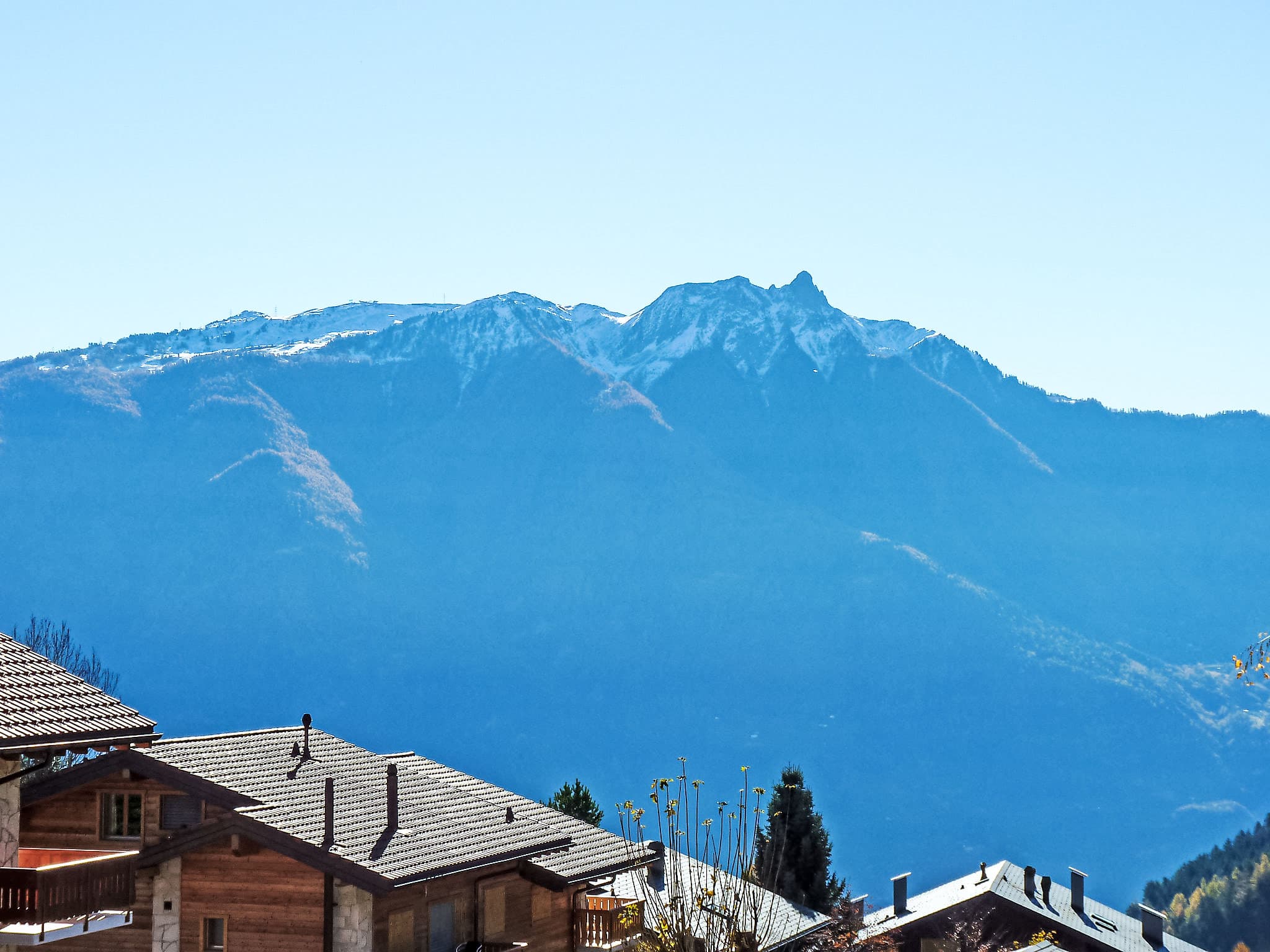 View