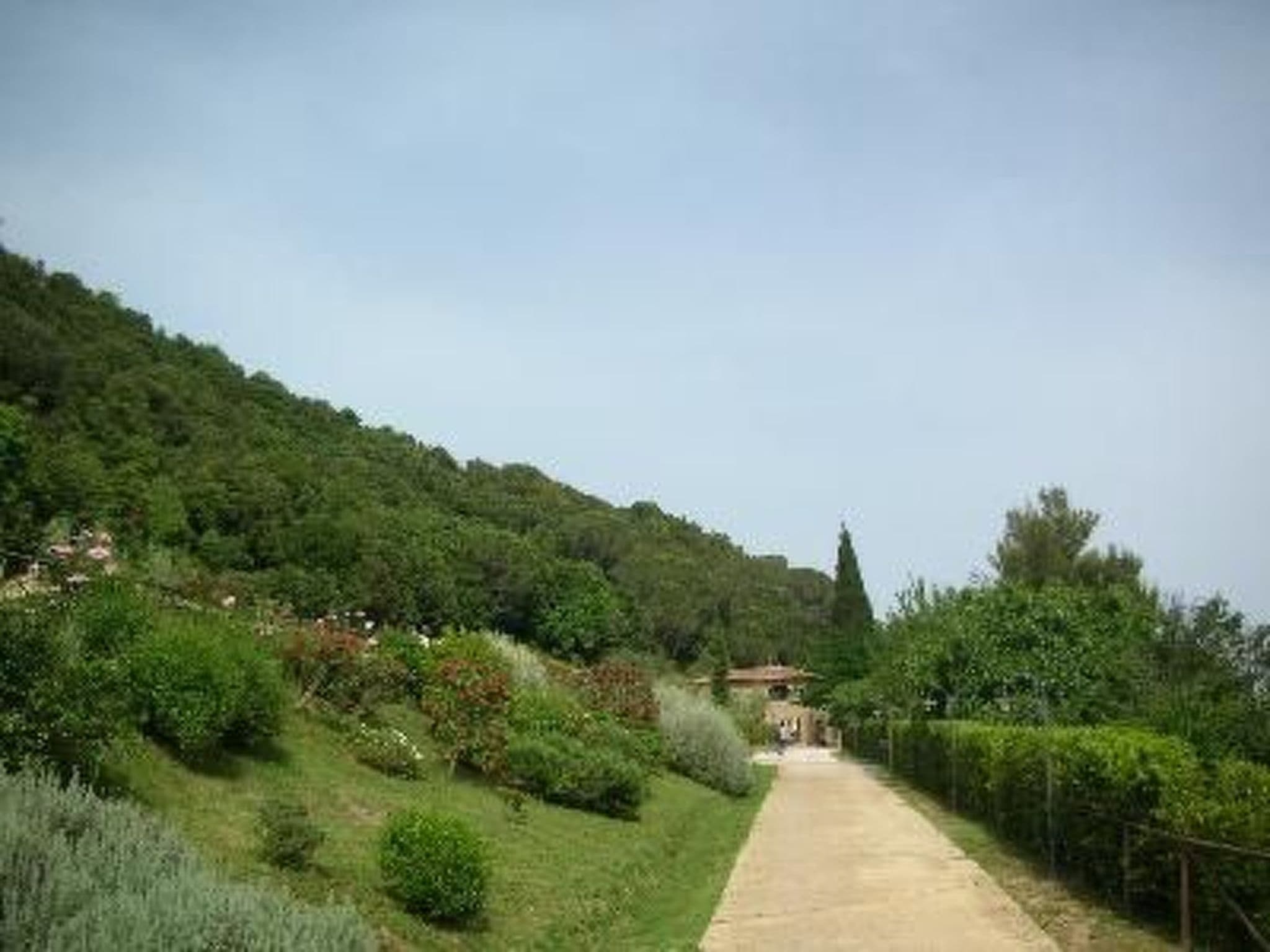 Gallery Image 16