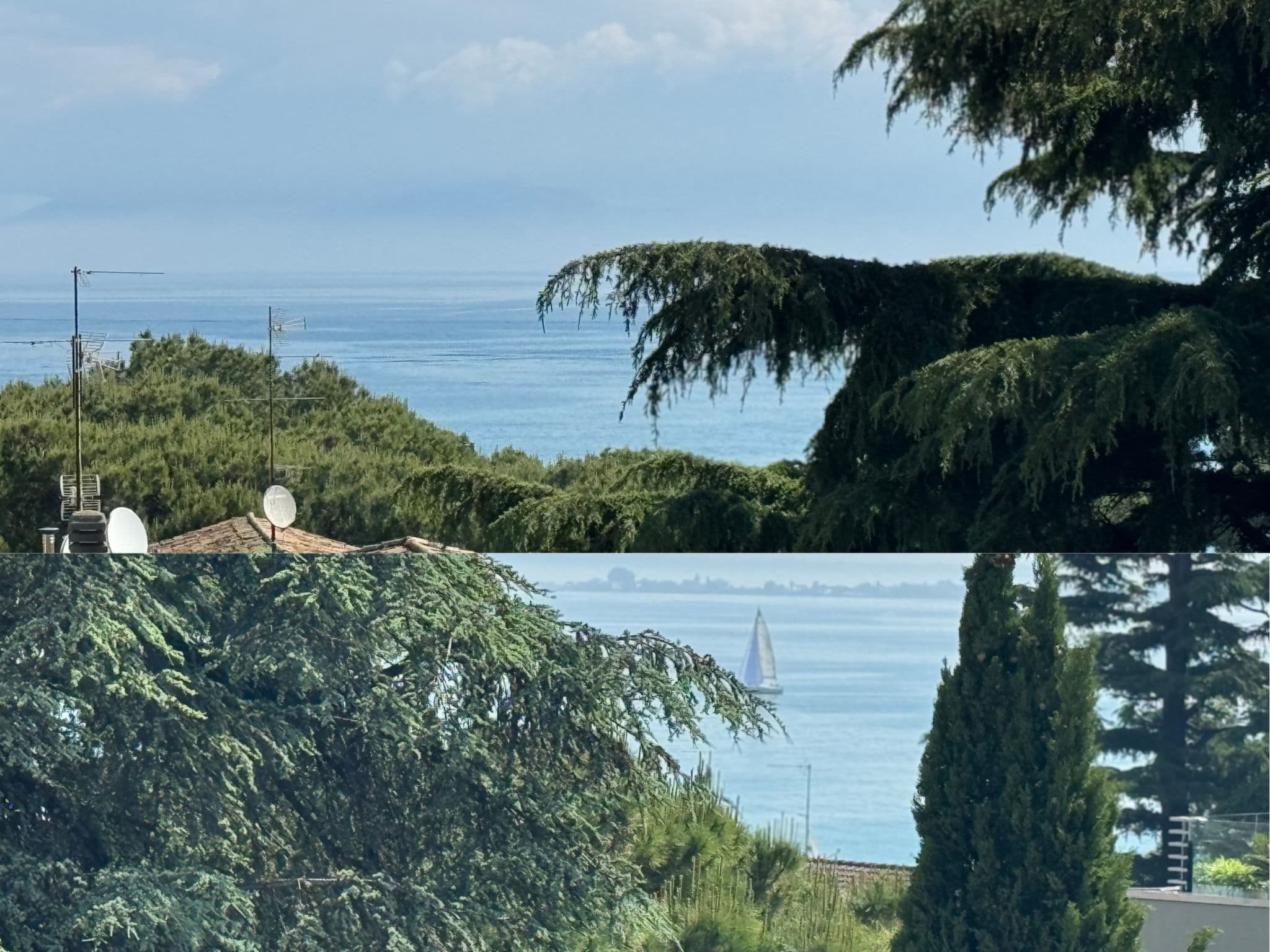 View