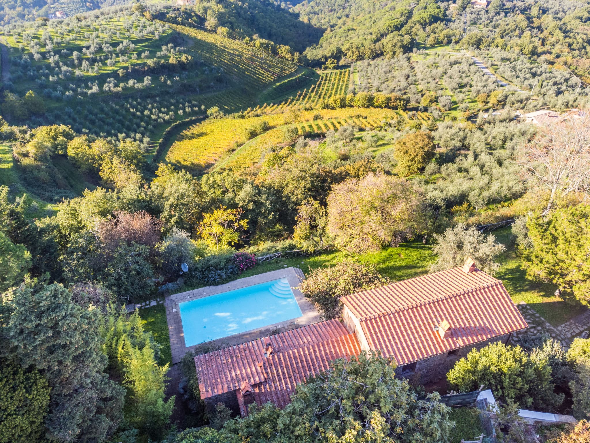 Aerial photography