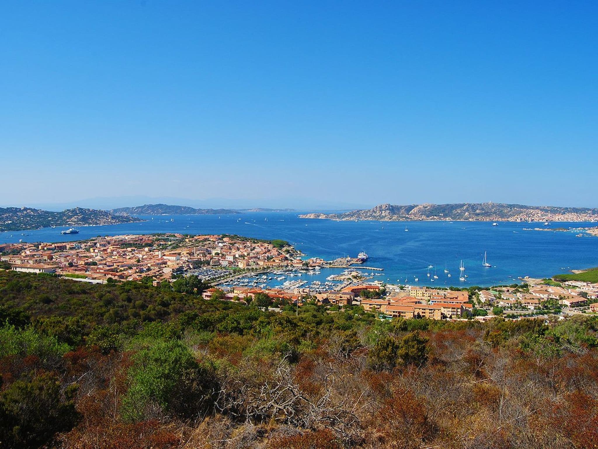 View