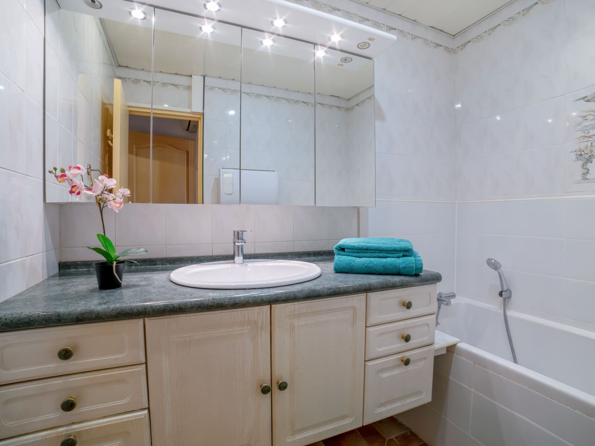 Bathroom / Wellness