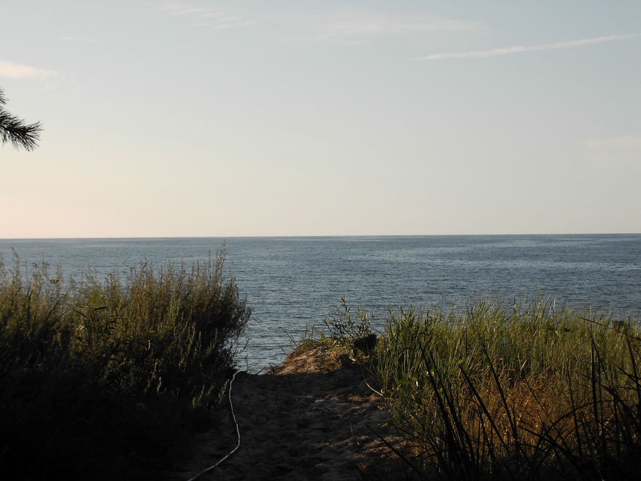 Gallery Image 10