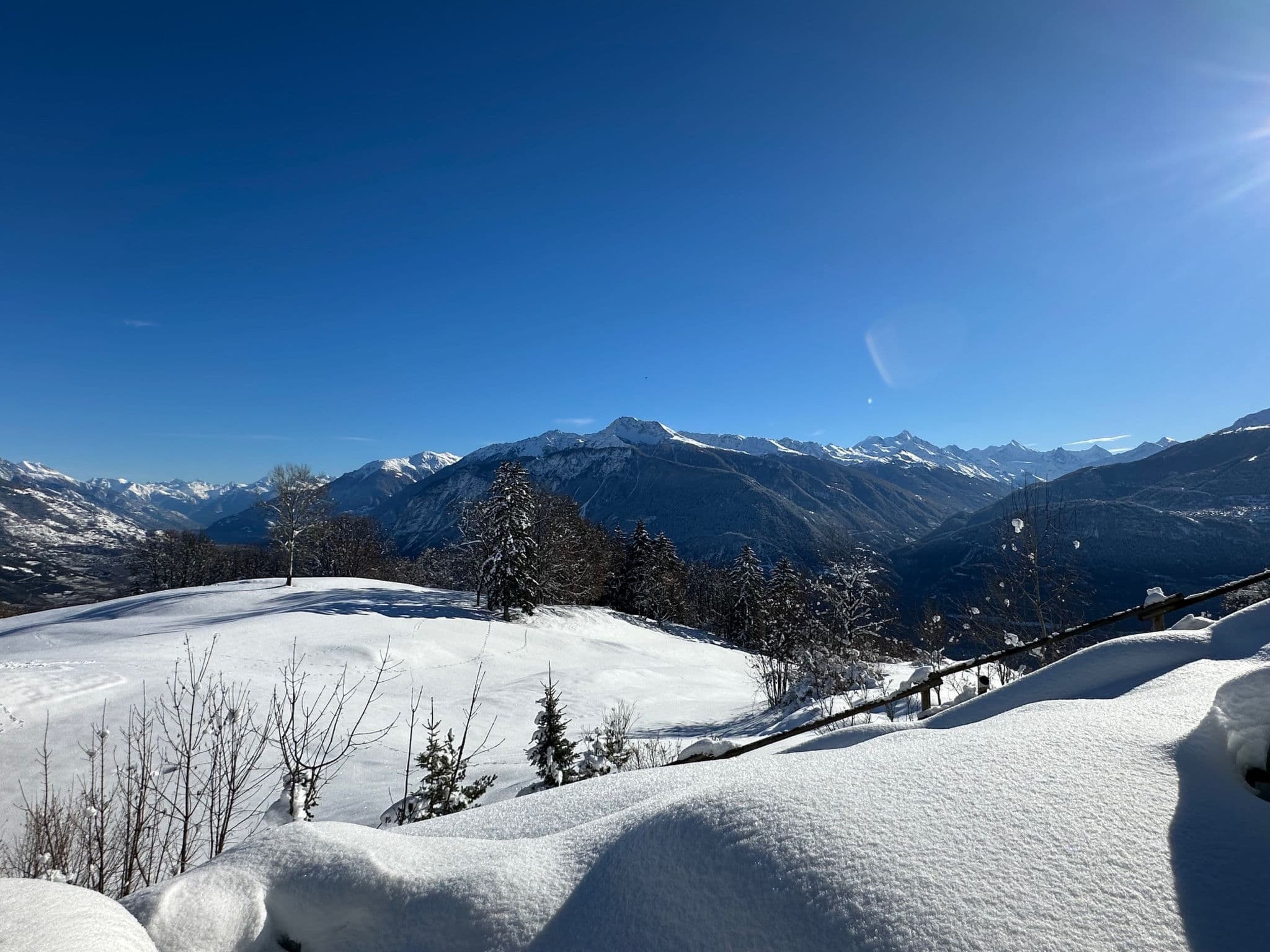 View
