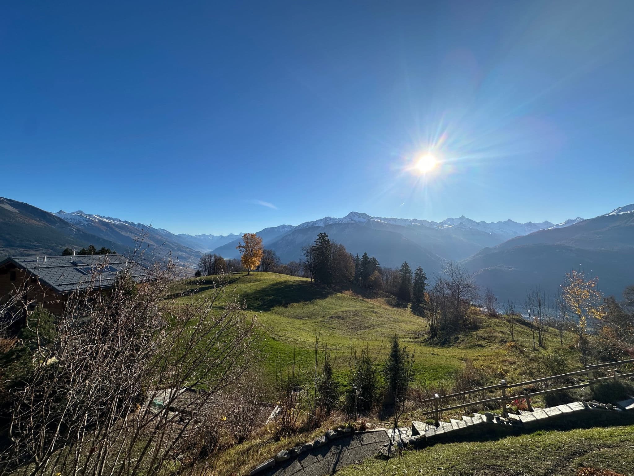 View