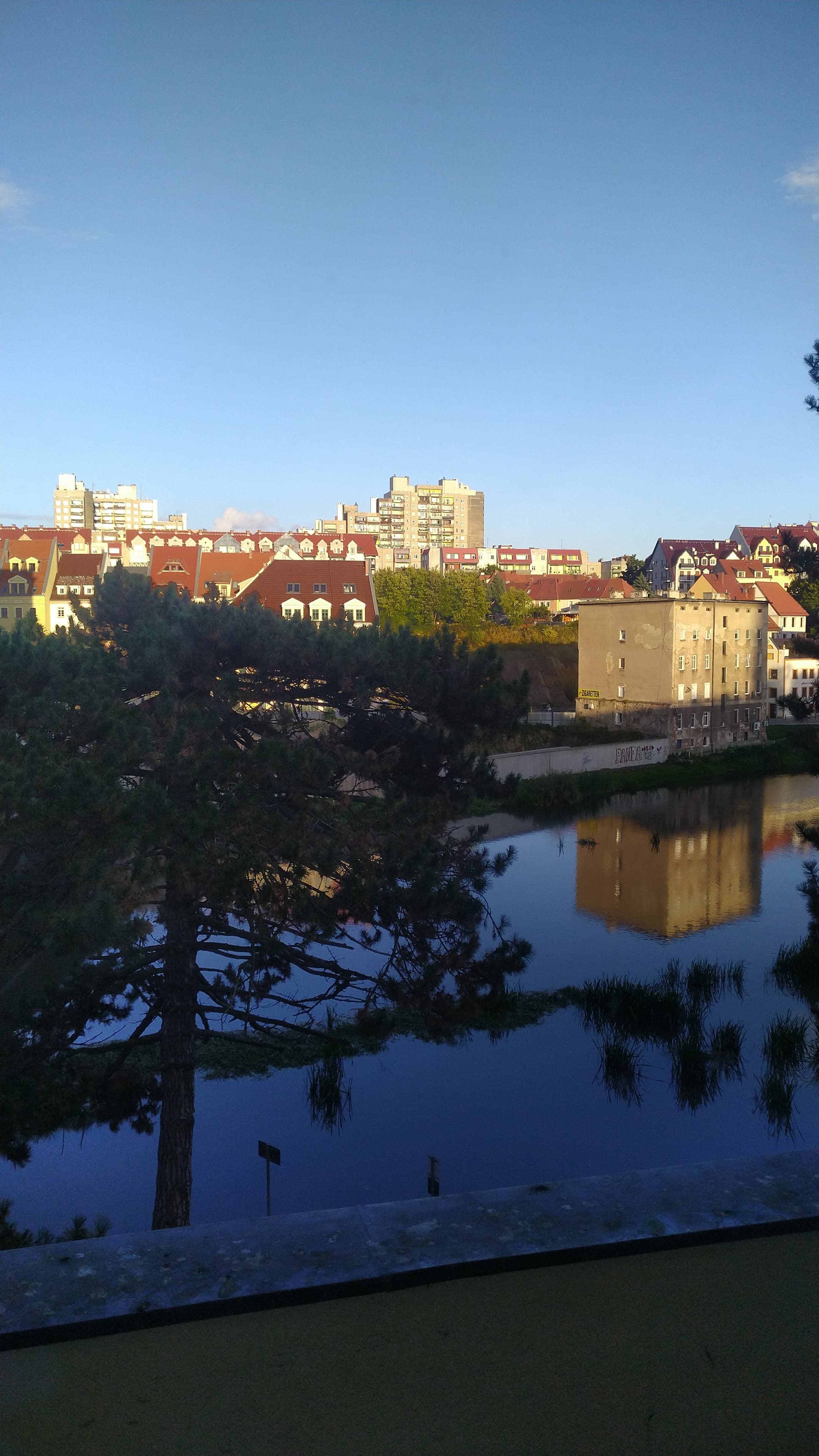 IMG 20221002 174213