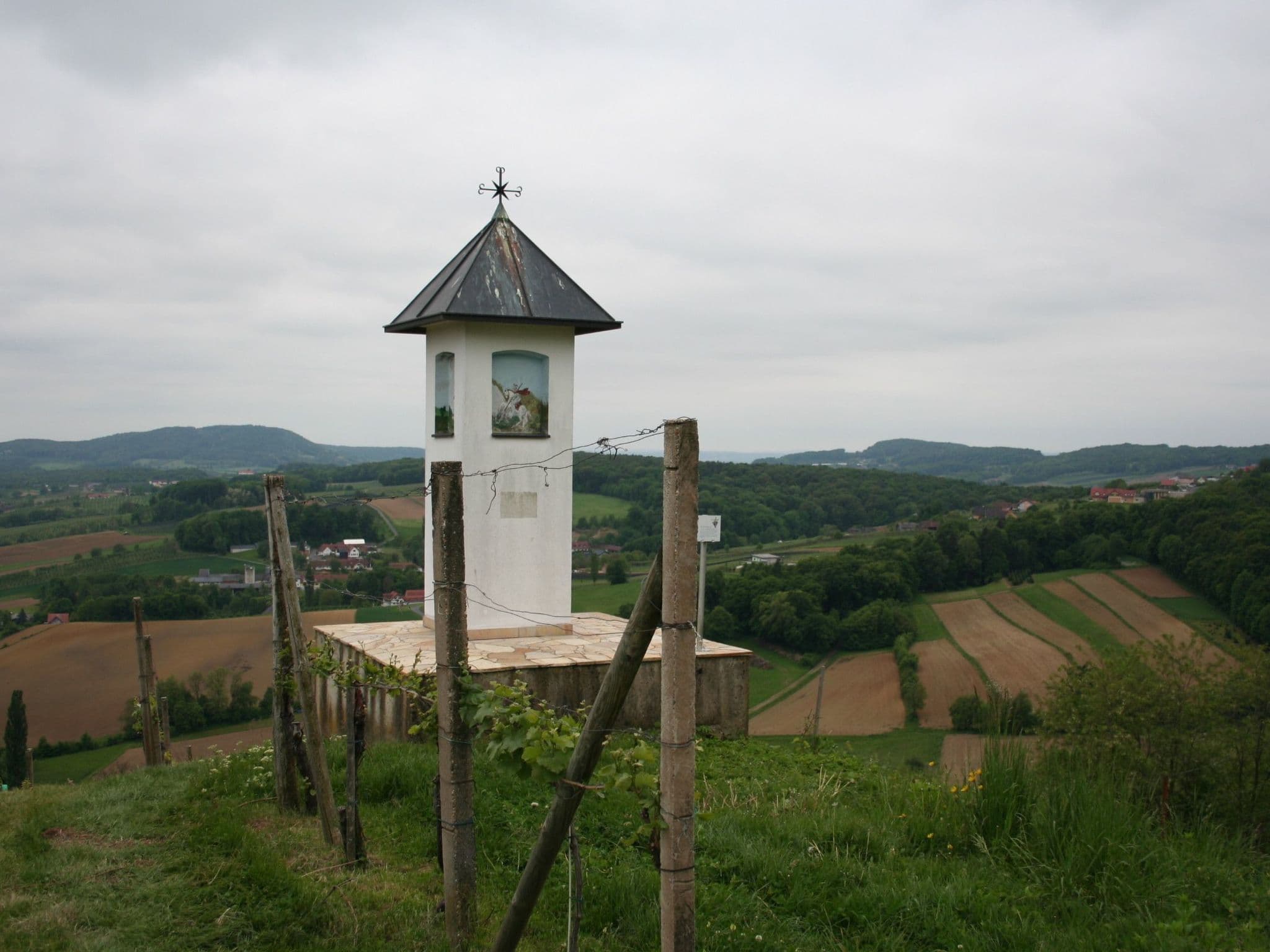View