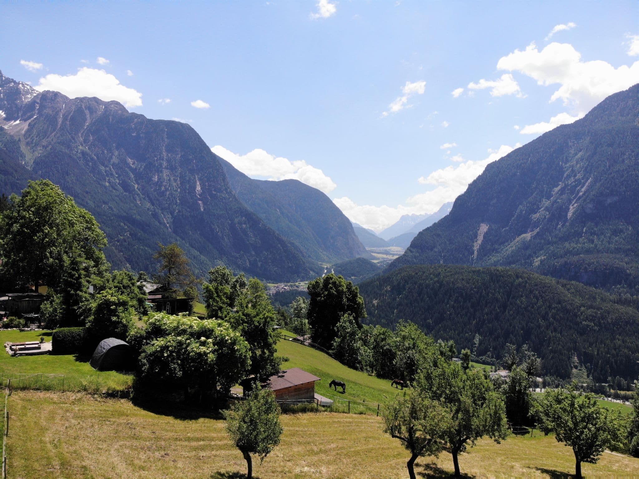 View