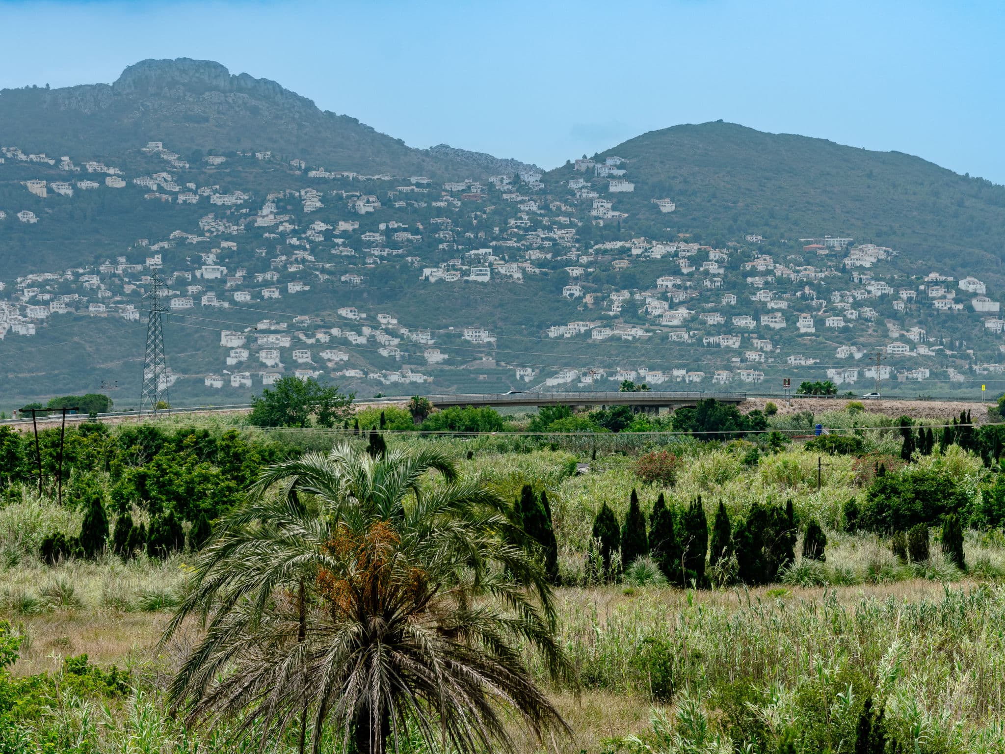 View