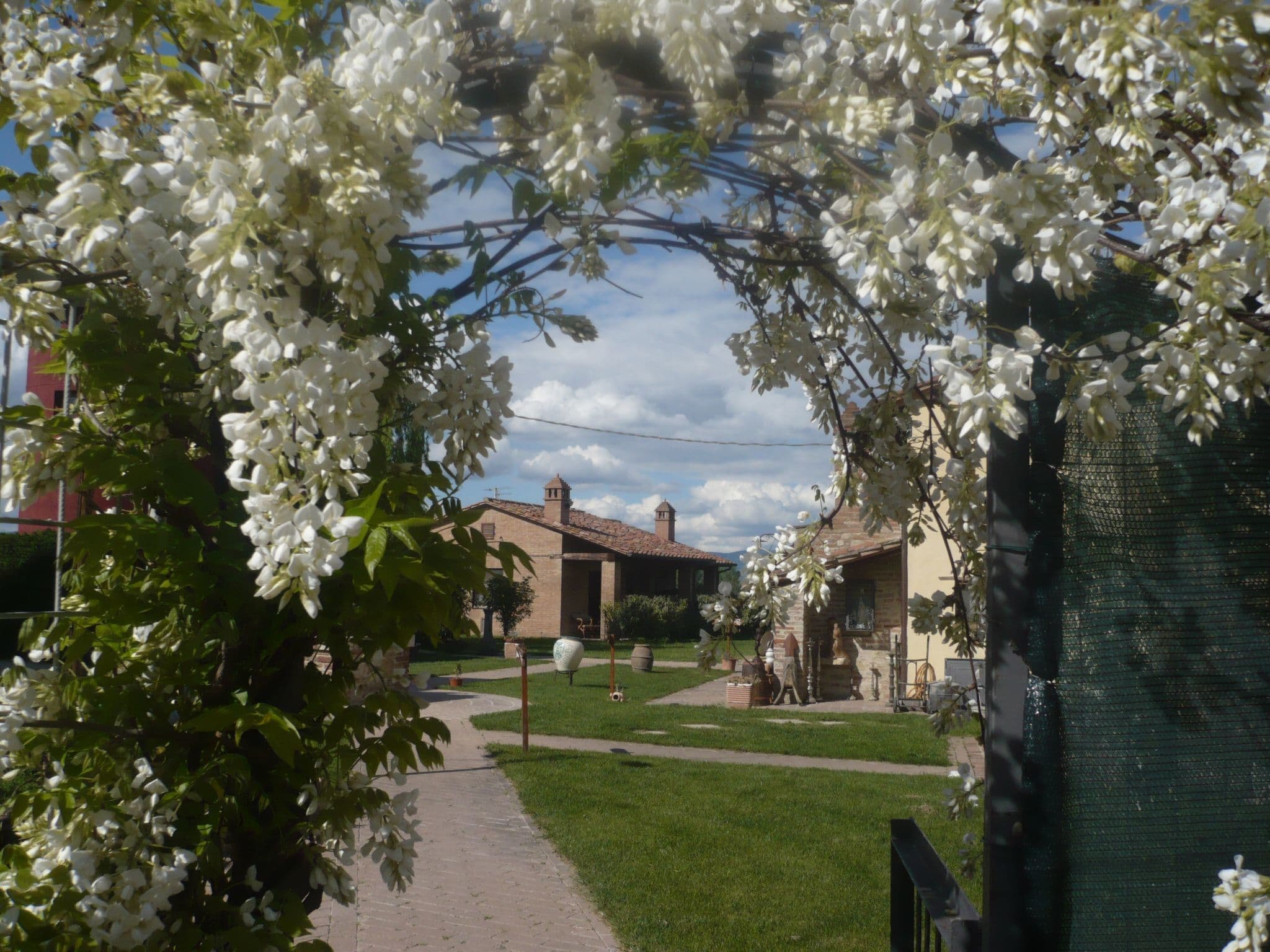 Gallery Image 19