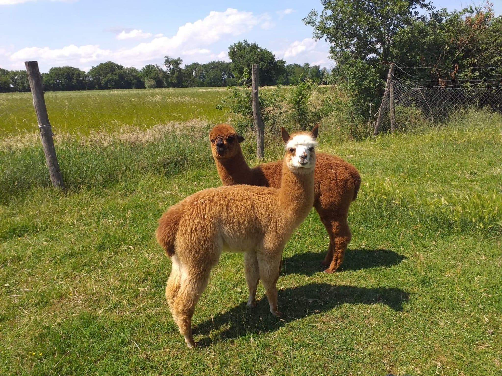 Gallery Image 48