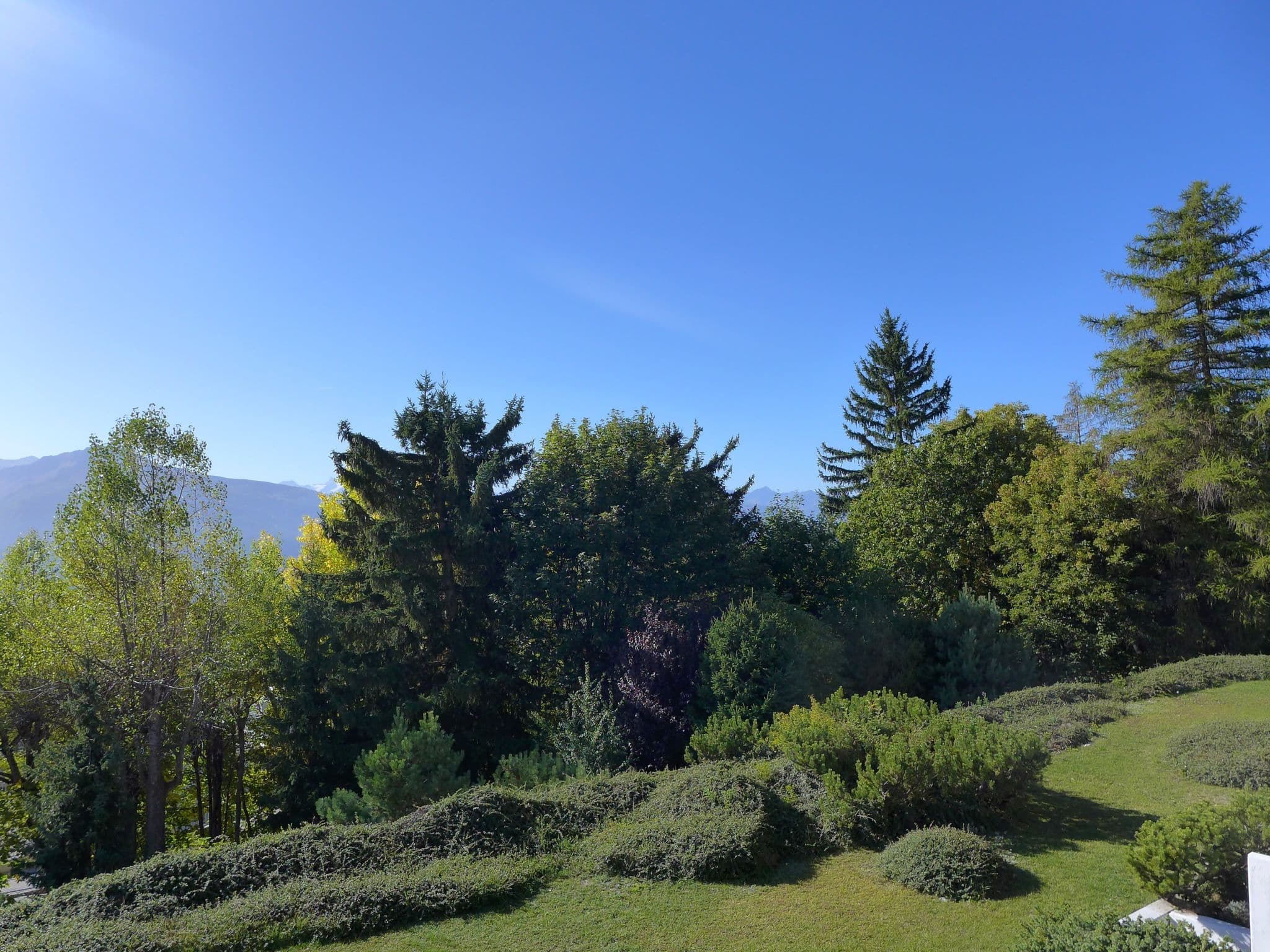 View