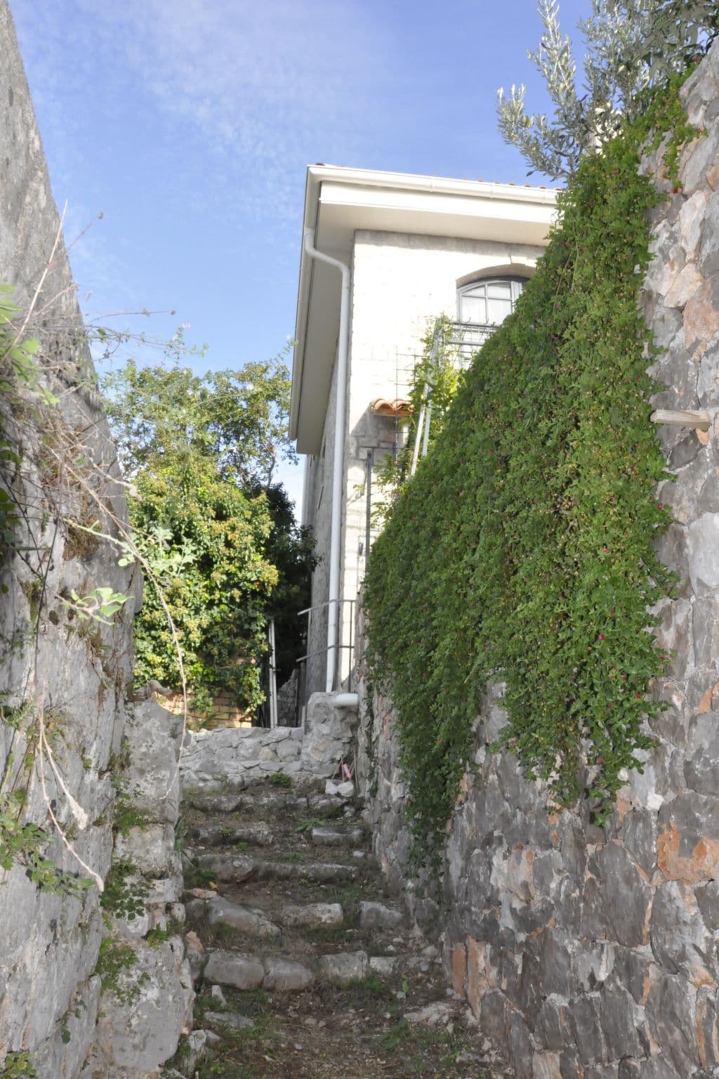 Gallery Image 14