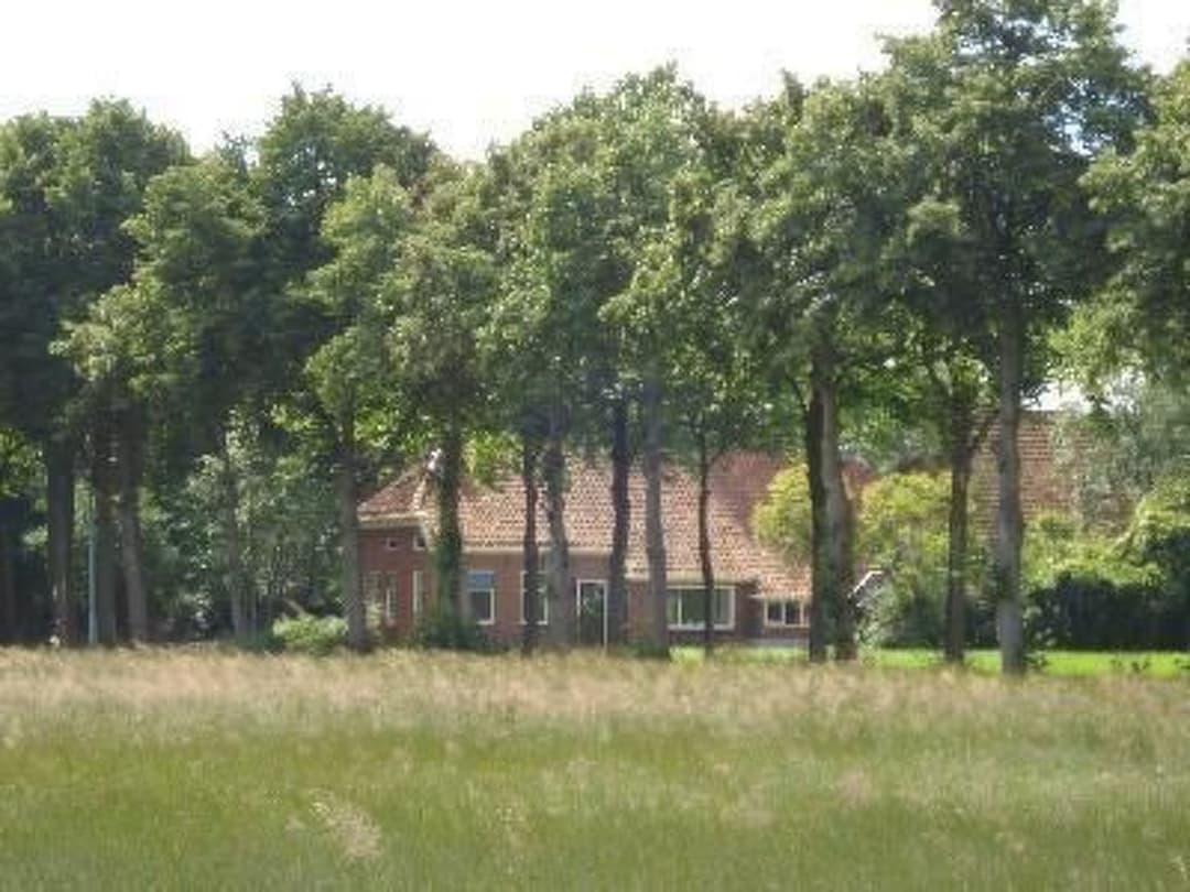 Large Image