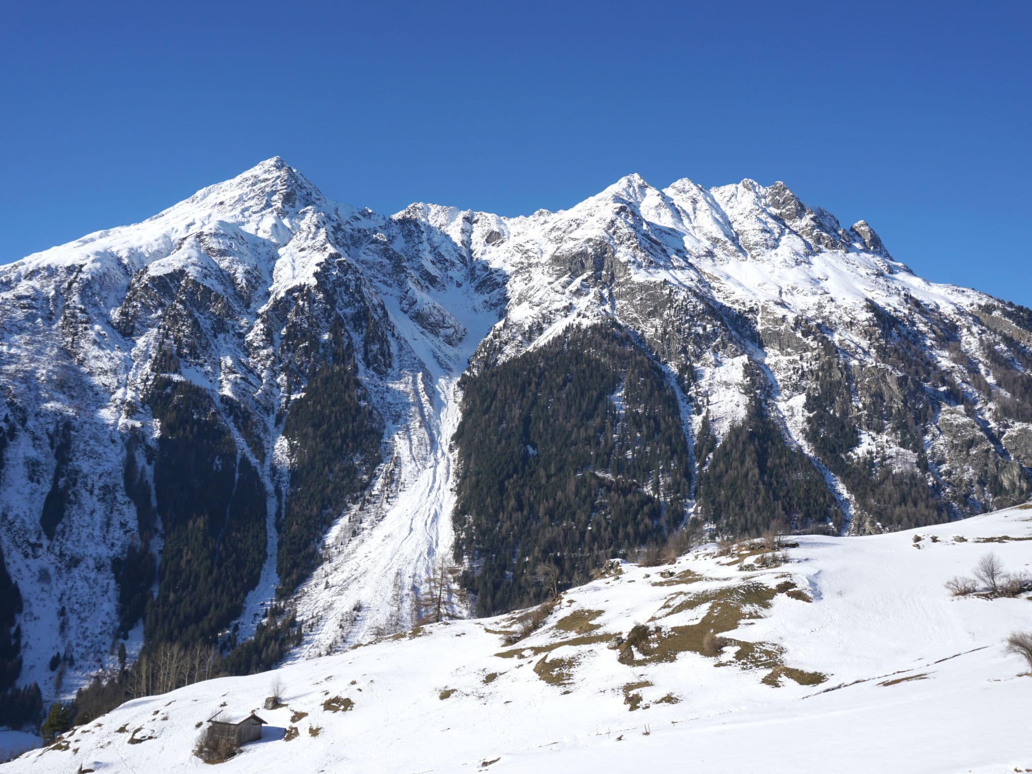View