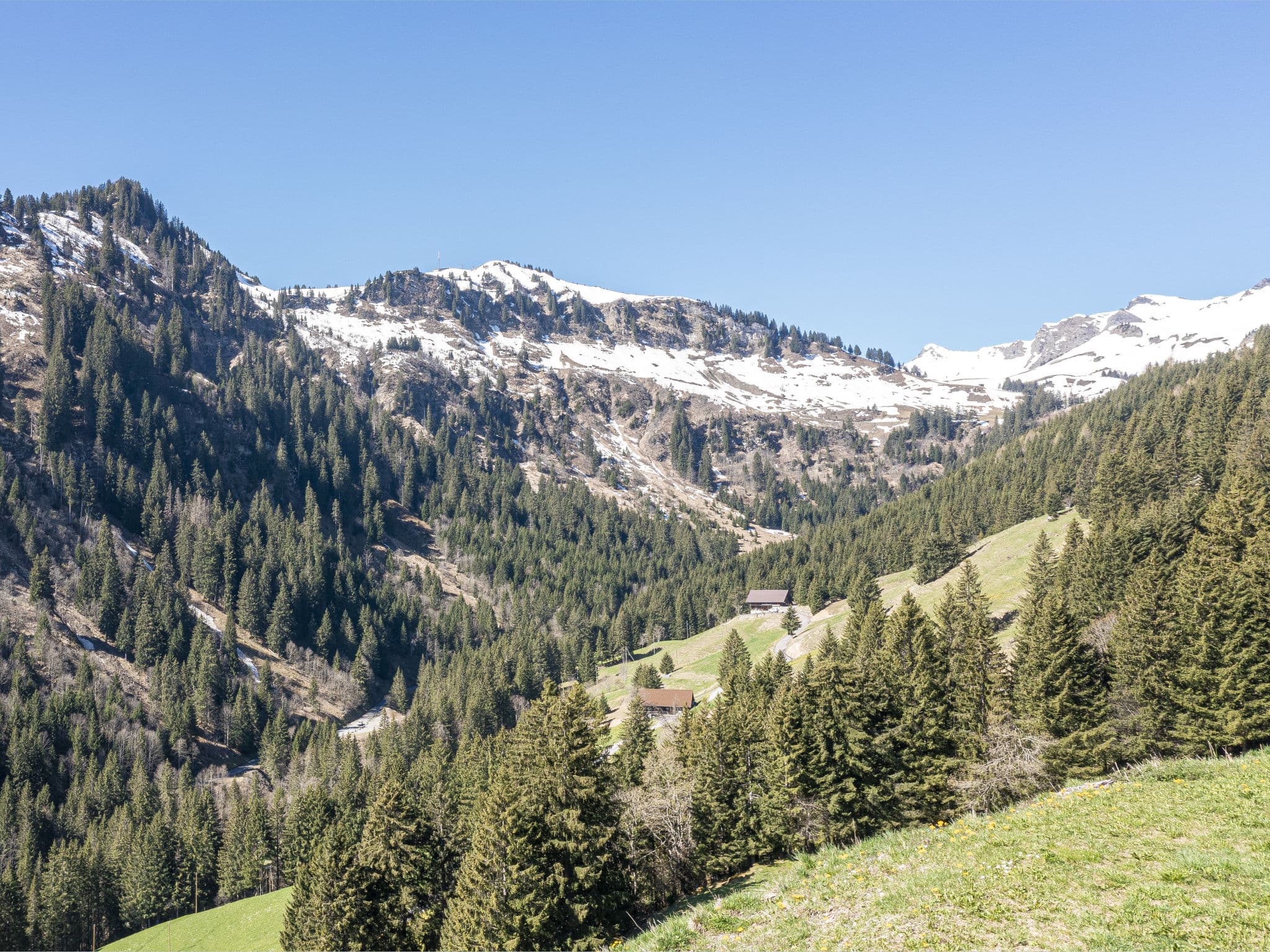 View