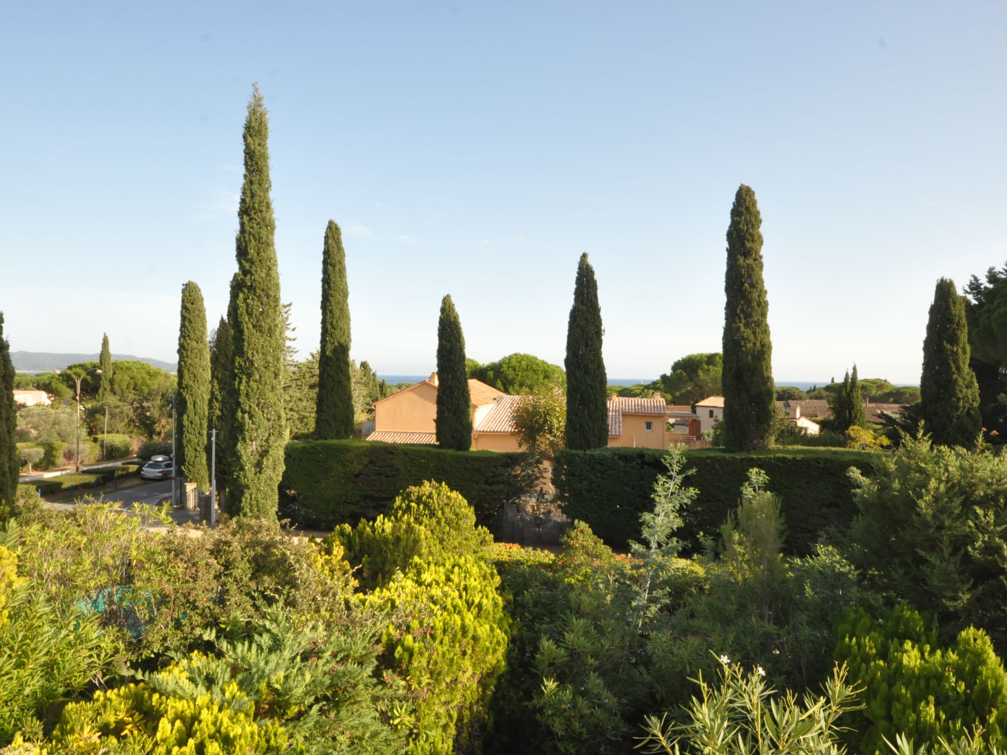 View