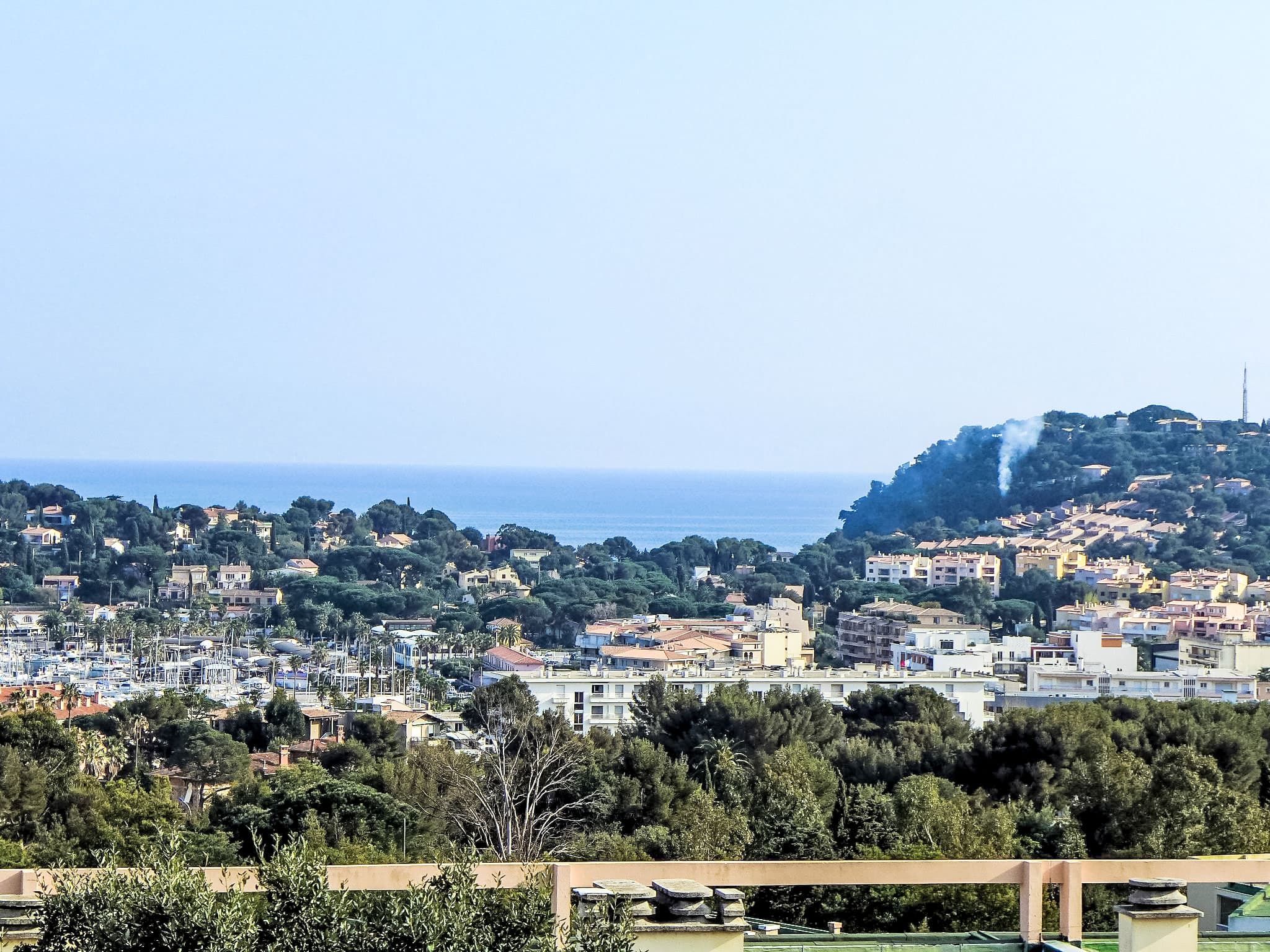 View