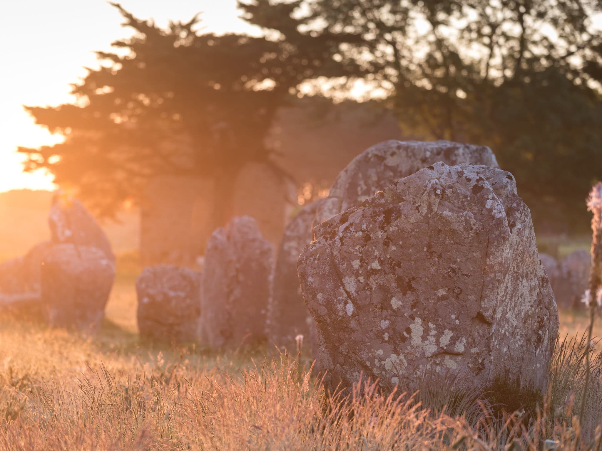 Place