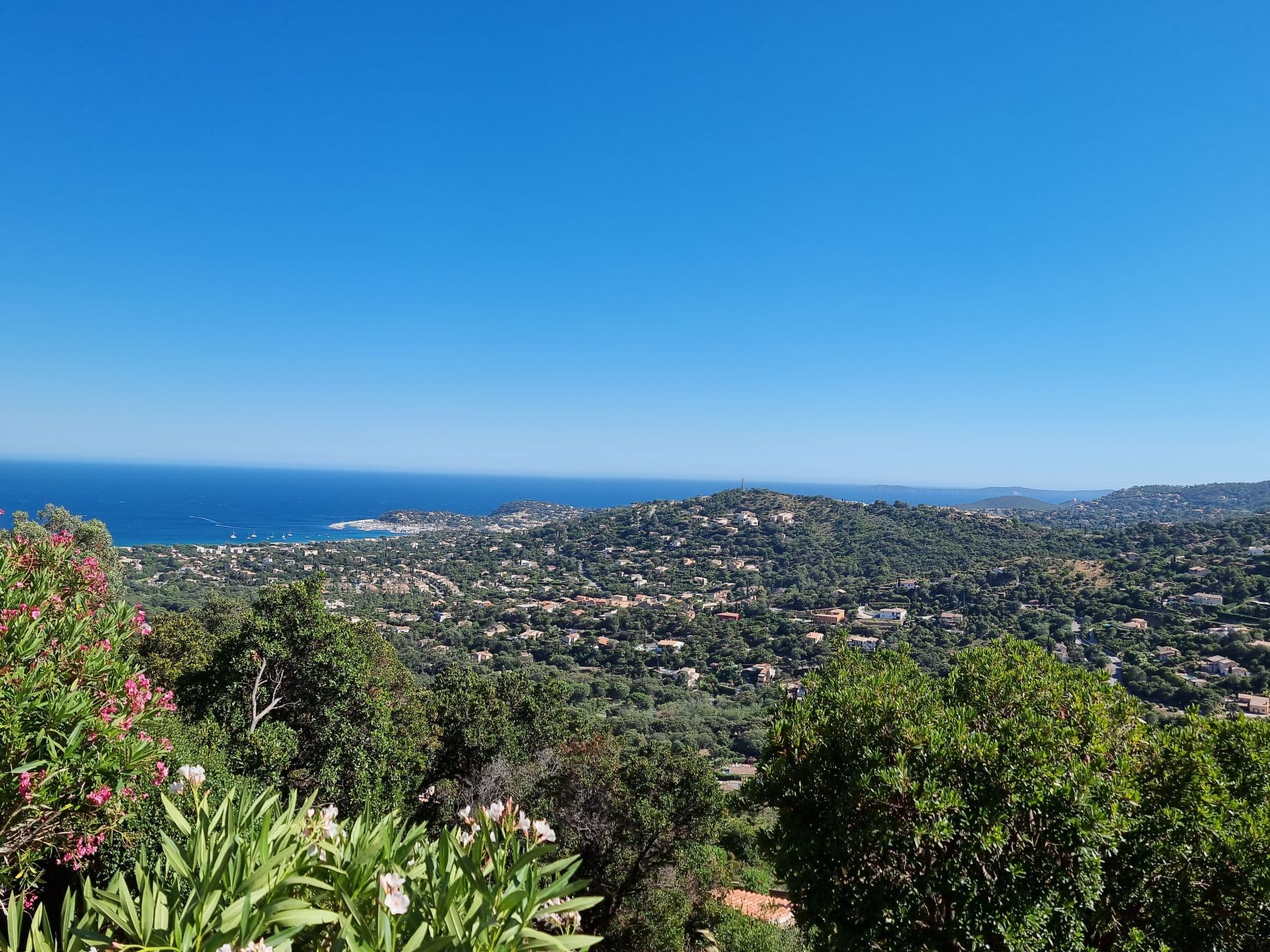 View