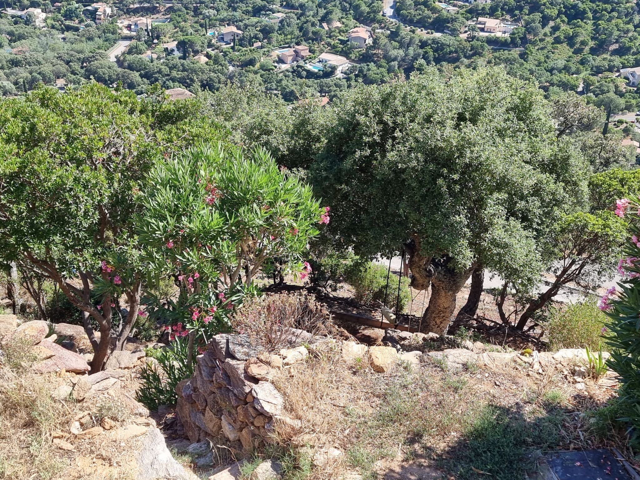 View