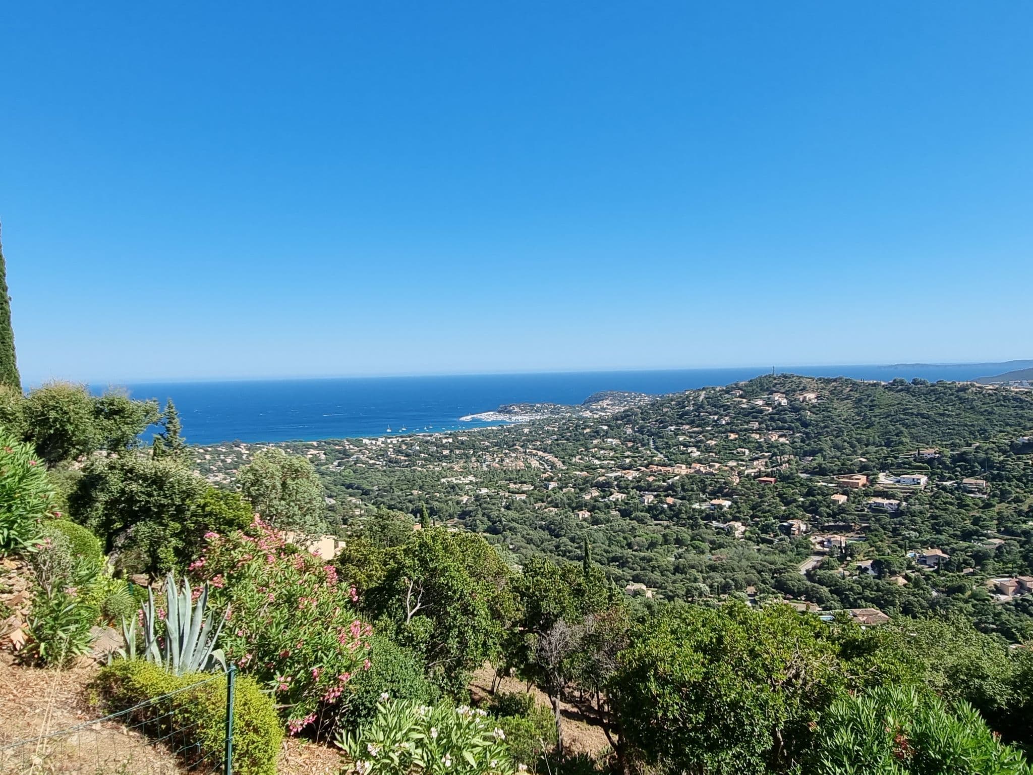 View