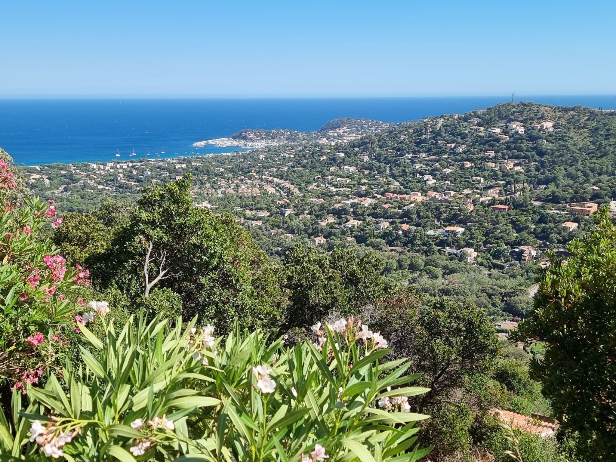 View