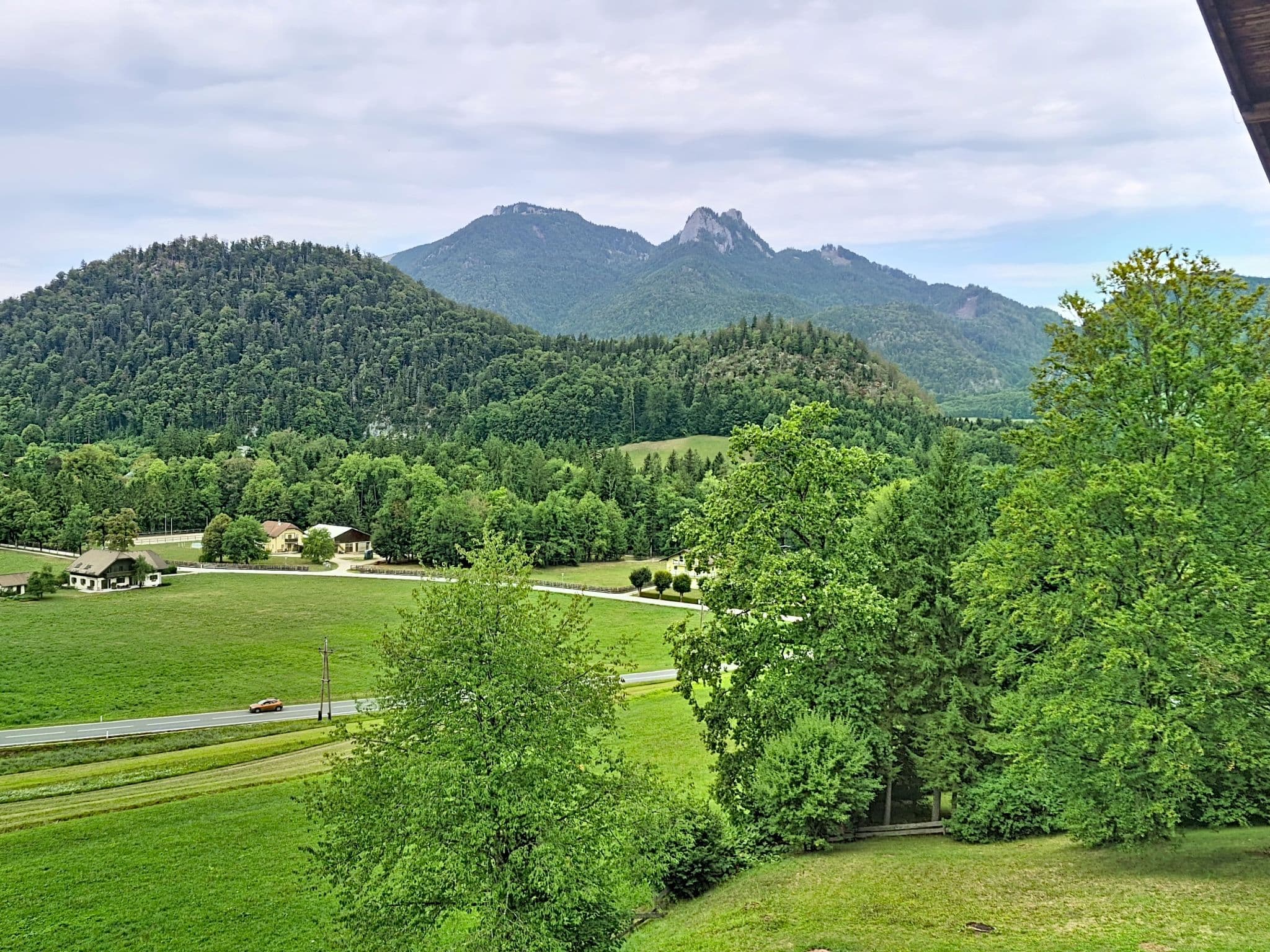 View